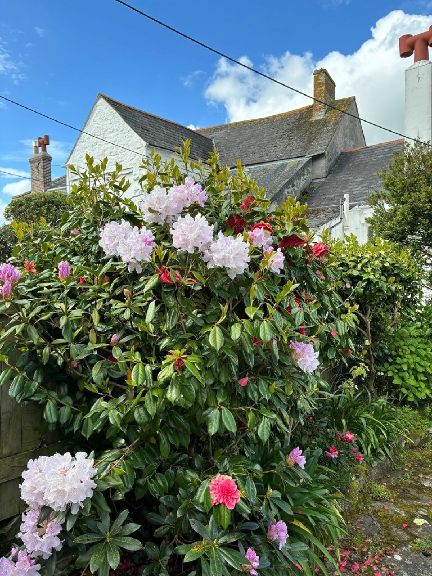 Trefusis Road, Flushing, Cornwall