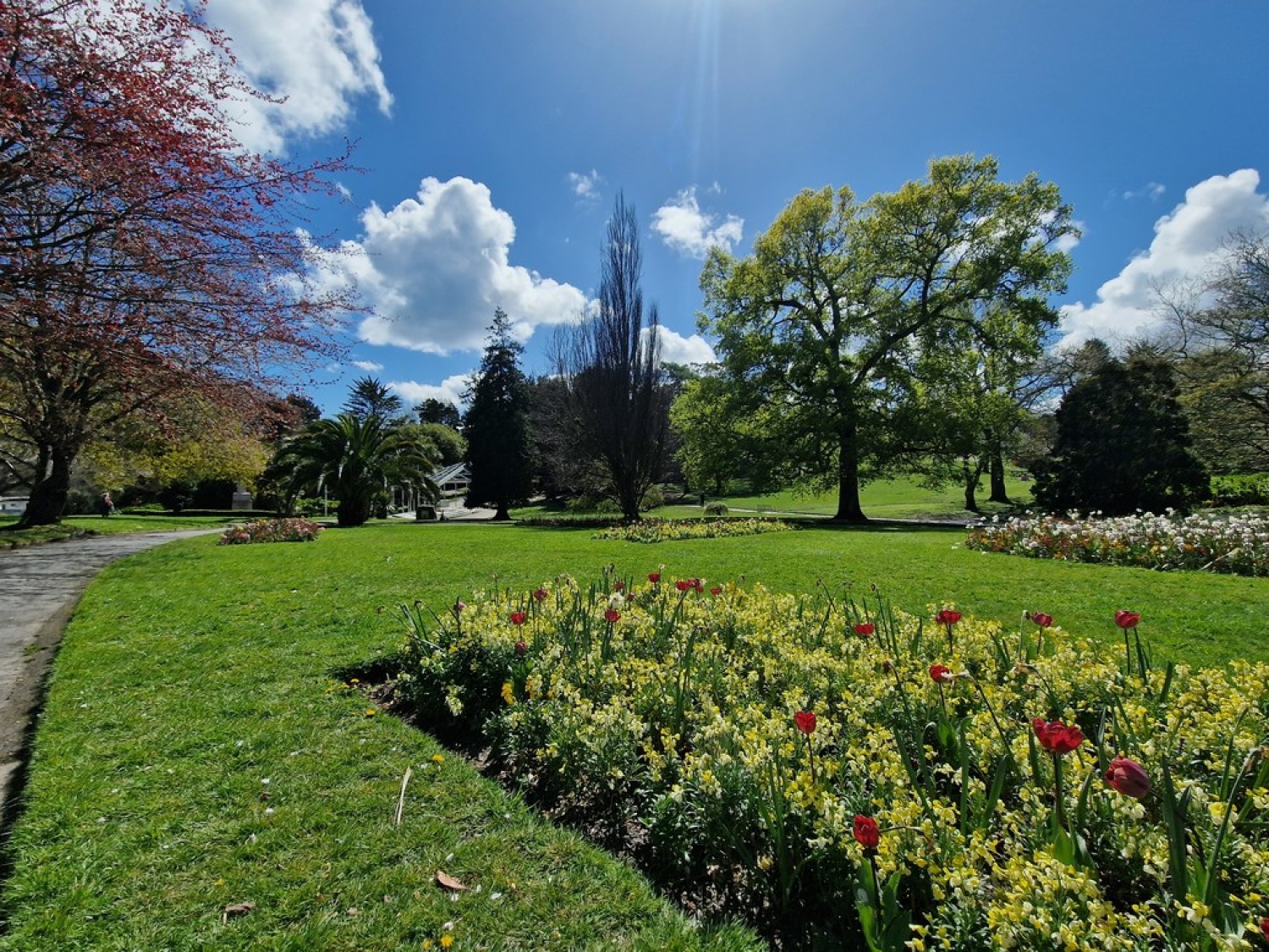 1 bedroom Flat in Brook Court