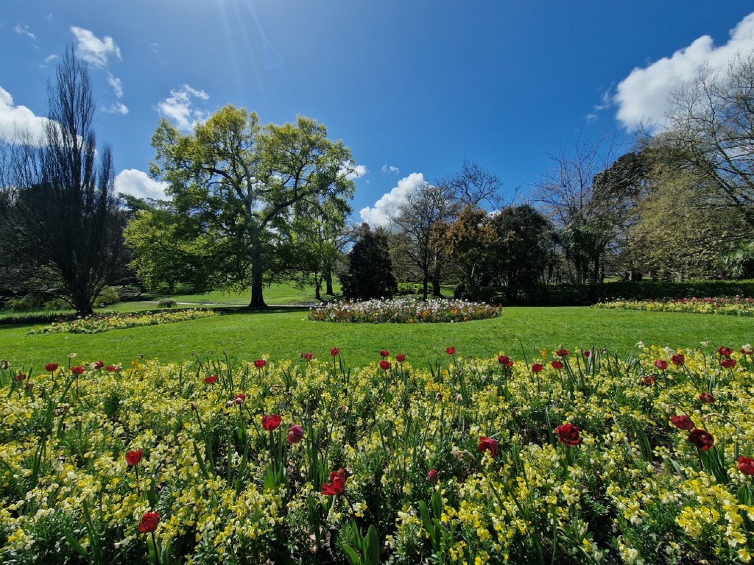 1 bedroom Flat in Brook Court