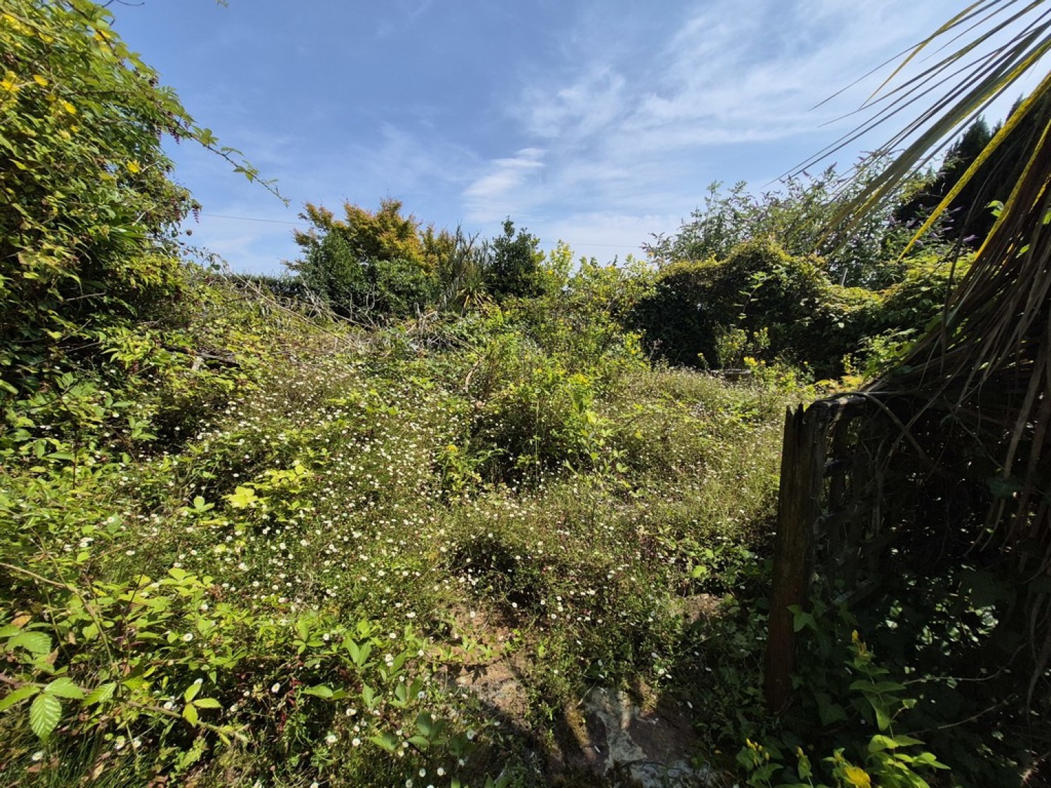 3 bedroom Bungalow for Sale Belhay, Penryn