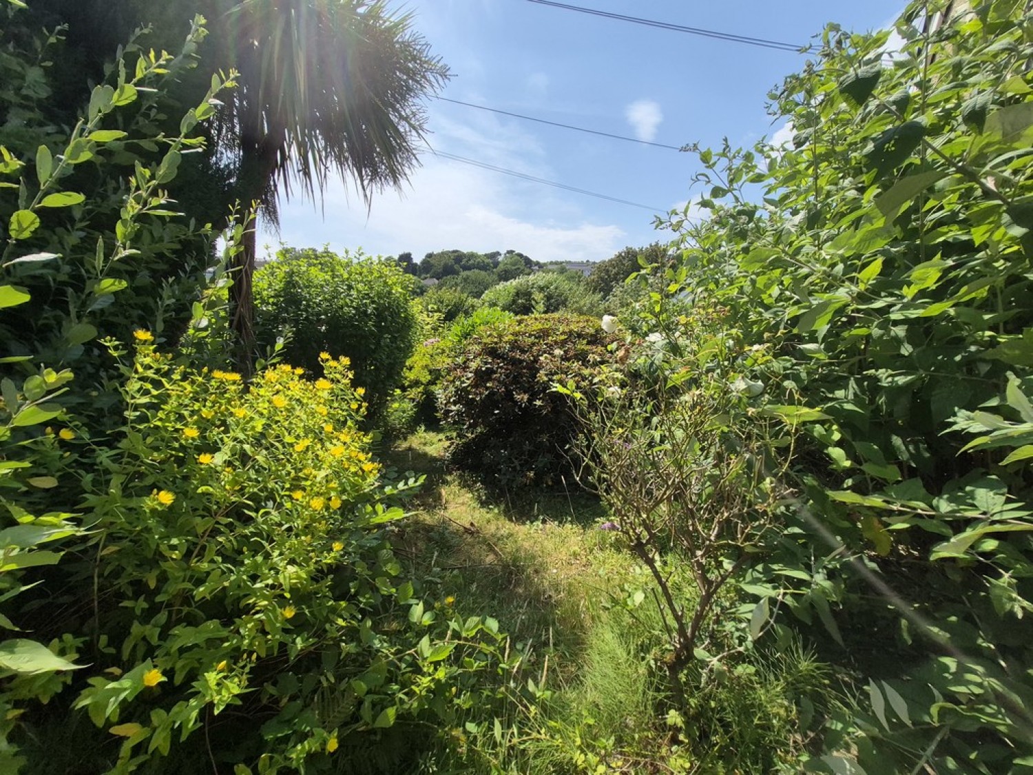 3 bedroom Bungalow for Sale Belhay, Penryn