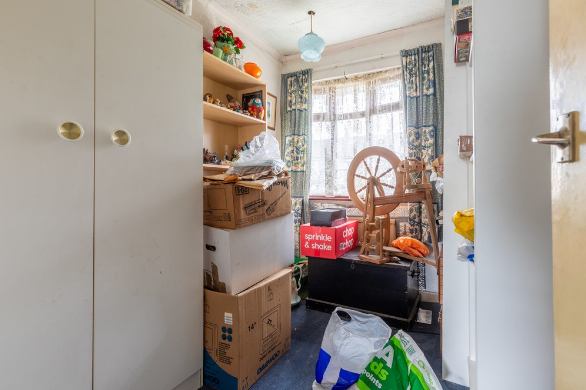 Mountain Ash, Rooley Moor, OL12 7JE