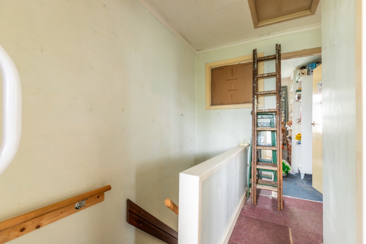 Mountain Ash, Rooley Moor, OL12 7JE