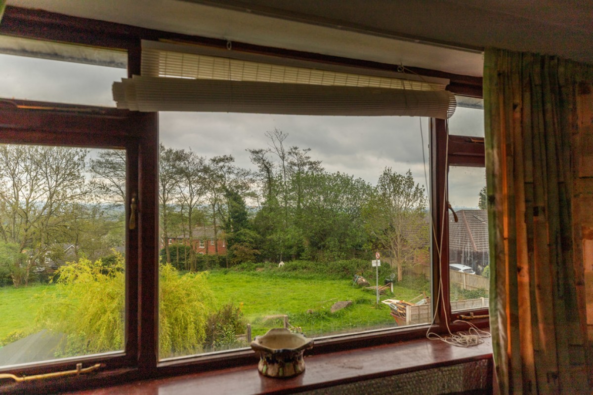 Mountain Ash, Rooley Moor, OL12 7JE