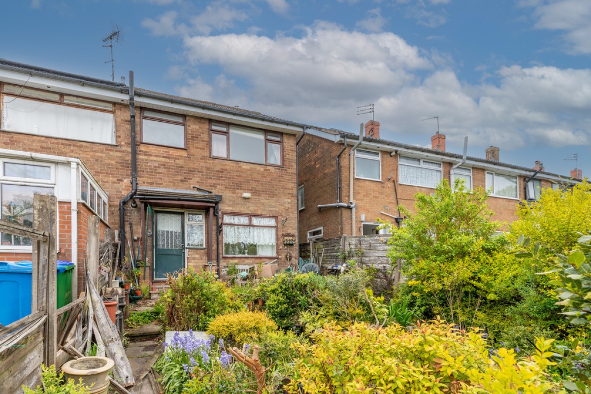 Mountain Ash, Rooley Moor, OL12 7JE