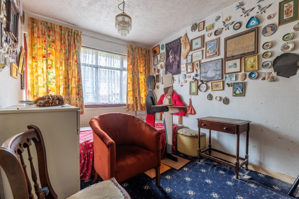 Mountain Ash, Rooley Moor, OL12 7JE