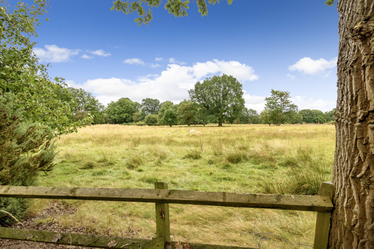 Upper Battlefield, Shrewsbury