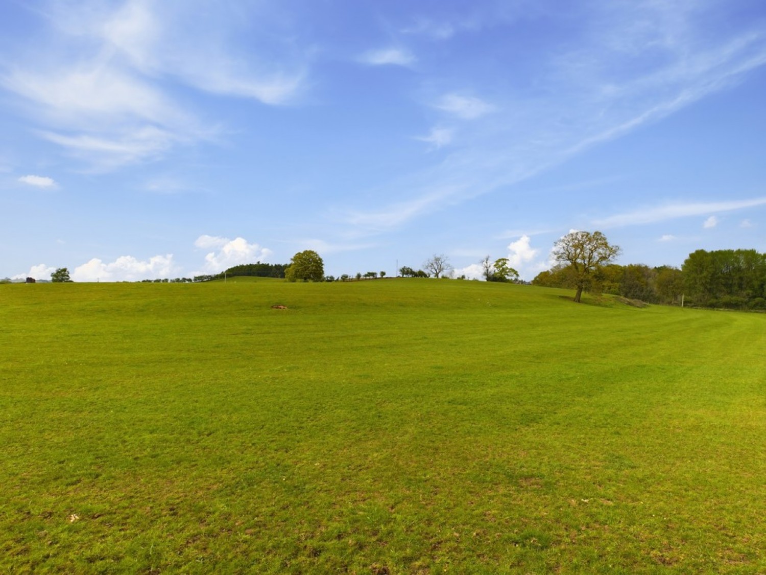 Hatton Manor, Cotes Heath