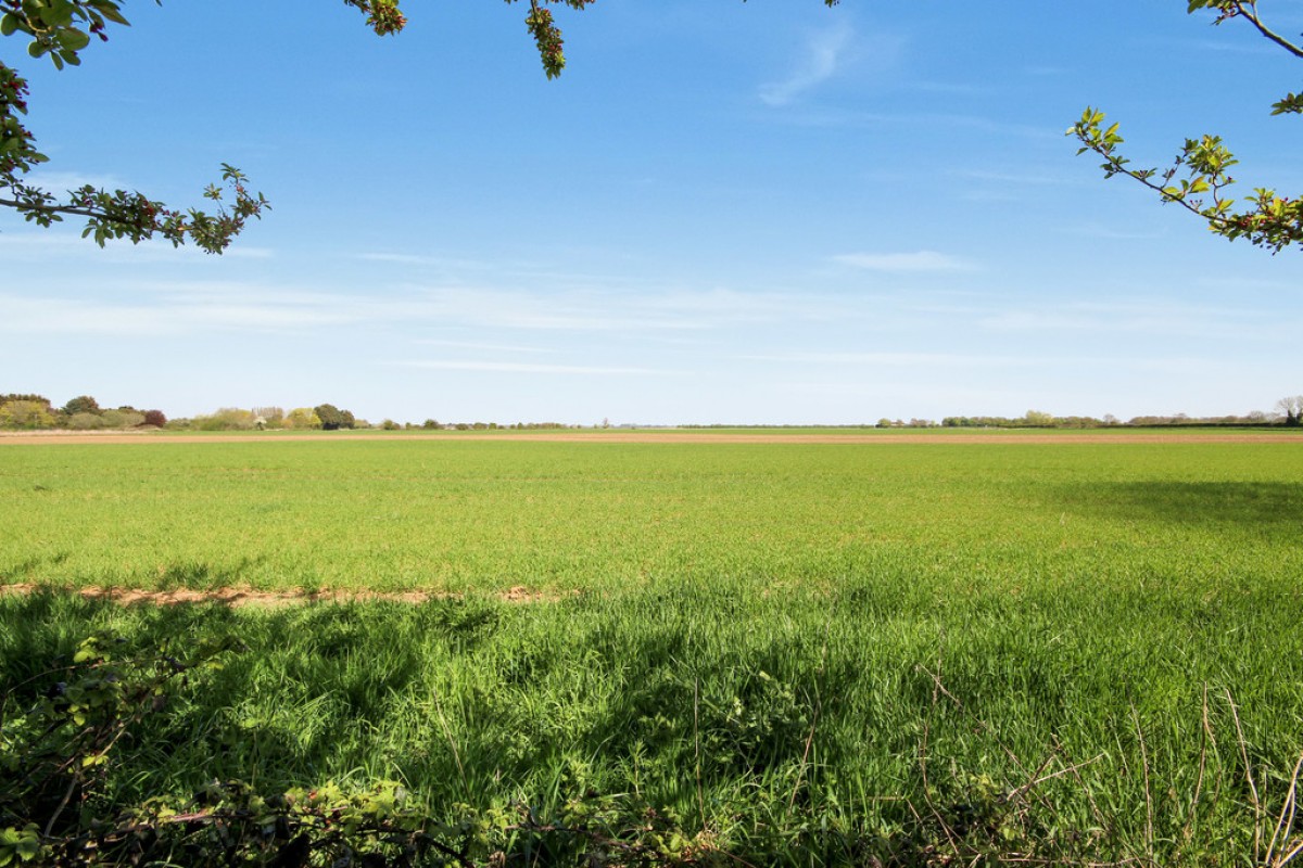 Youngman Avenue, Histon