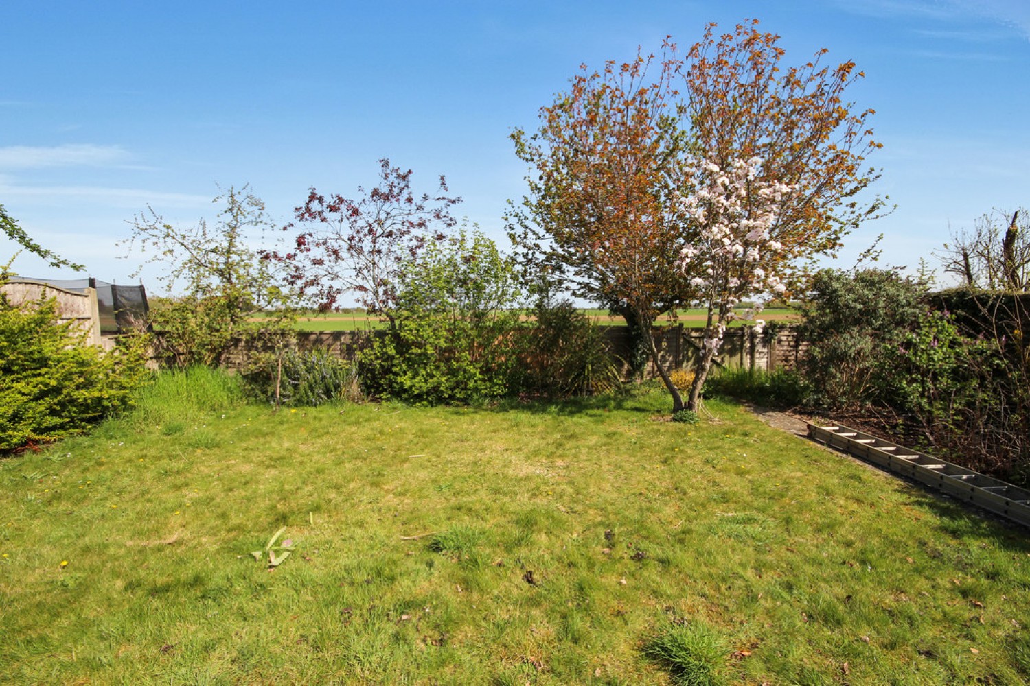 Youngman Avenue, Histon