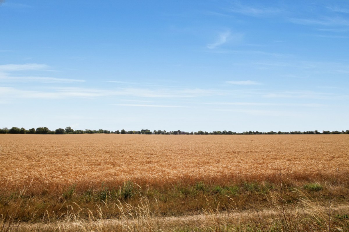 Wrights Close, Fen Ditton