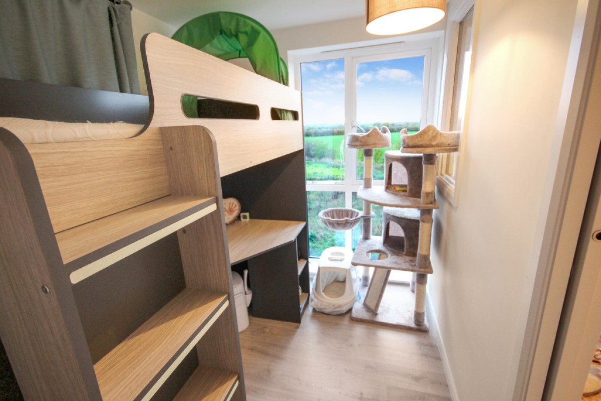 Forester Road, Trumpington