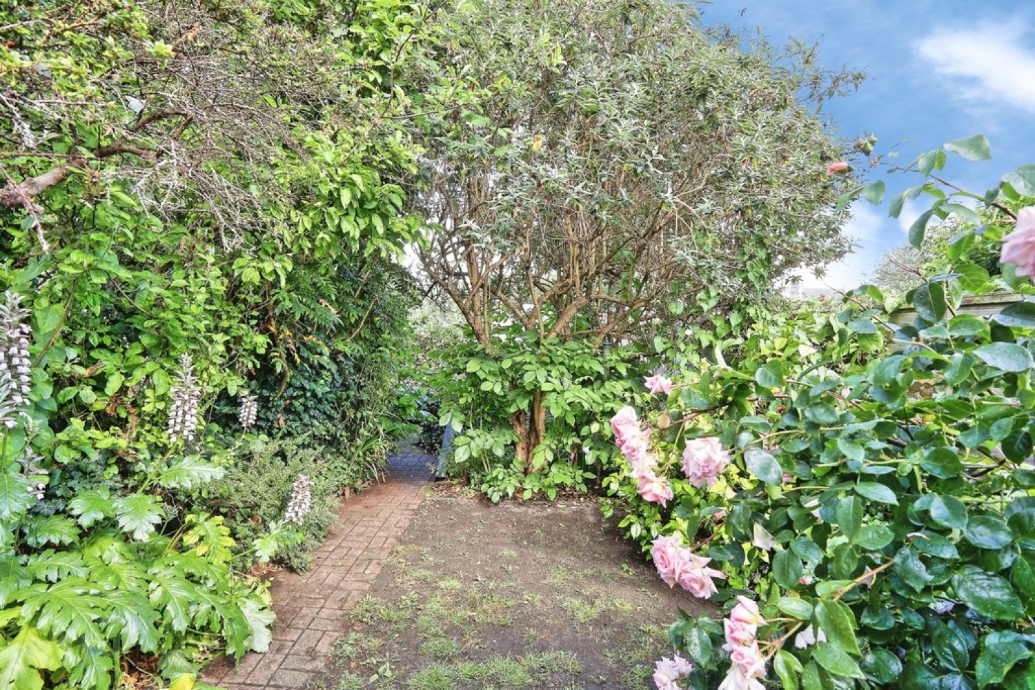 3 bedroom House for Sale Ross Street, Cambridge