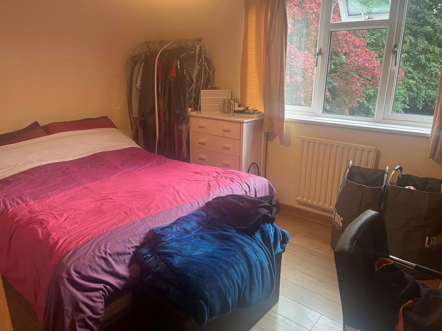 1 bedroom Flat for Letting Elgin Gardens, Guildford