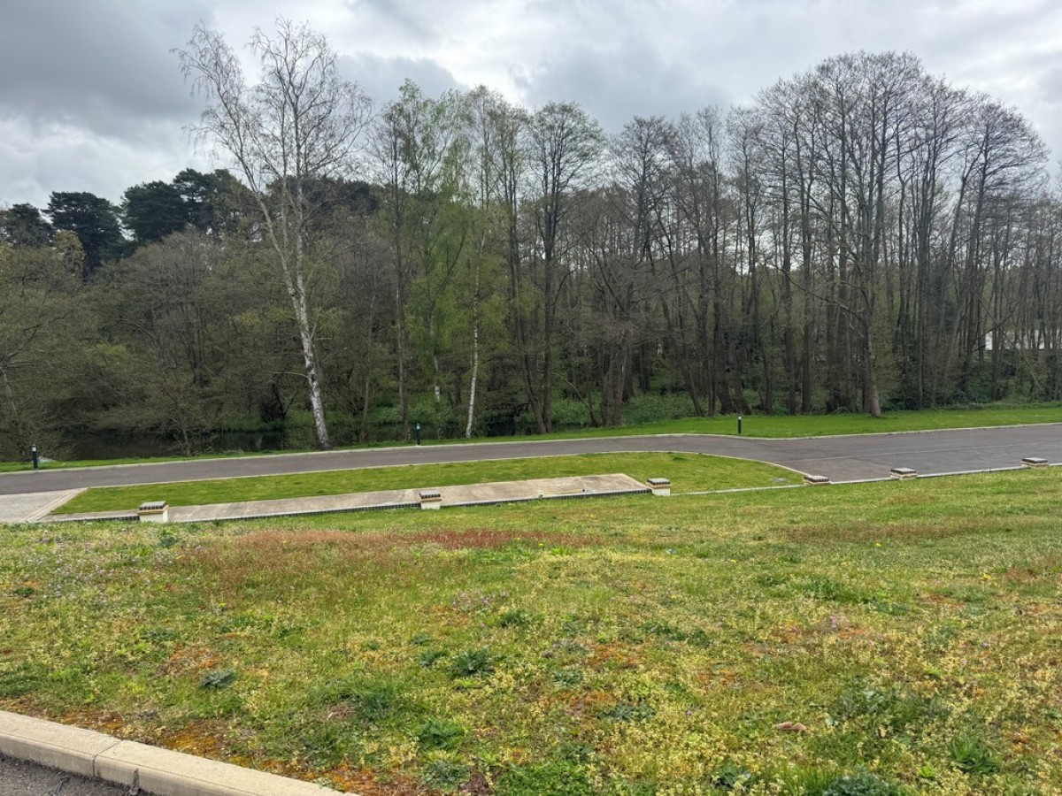 Thursley, Godalming, Surrey