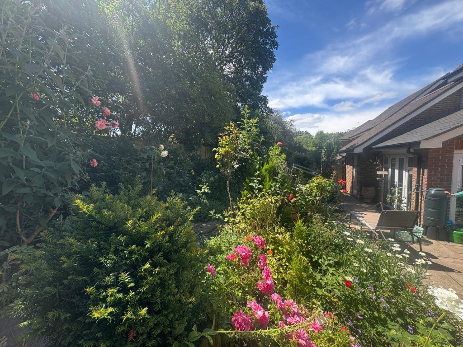 3 bedroom House for Letting Ewhurst, Cranleigh, Surrey
