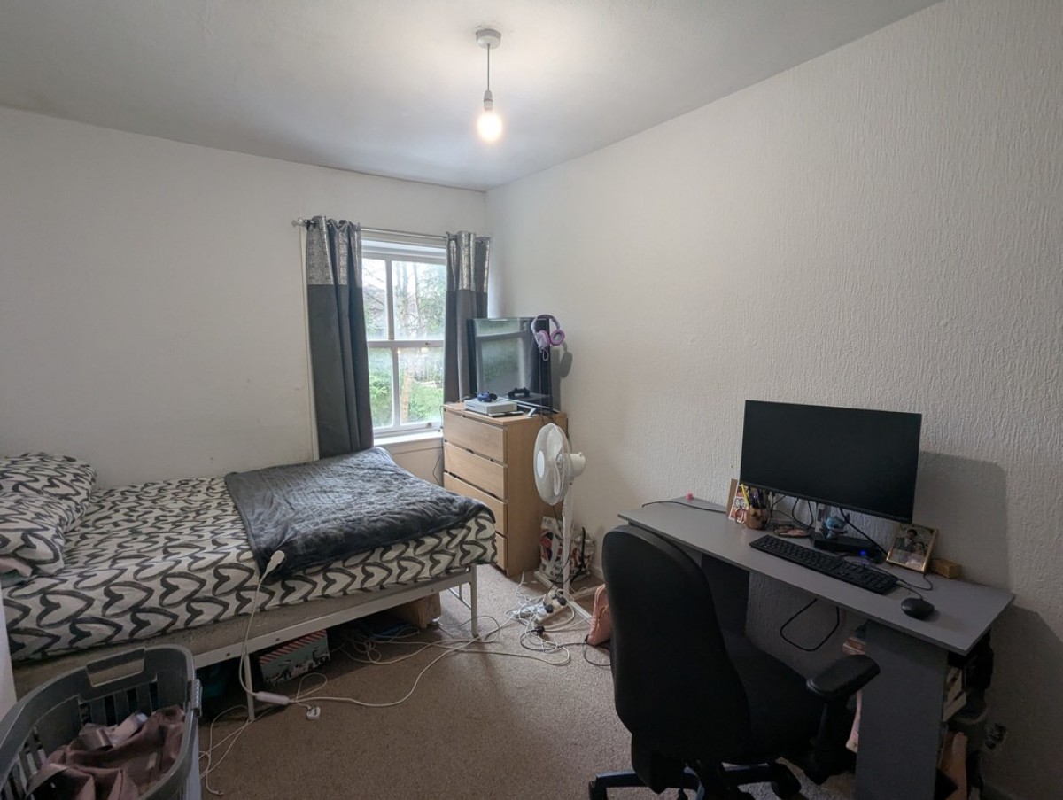 Church Street, Paddock