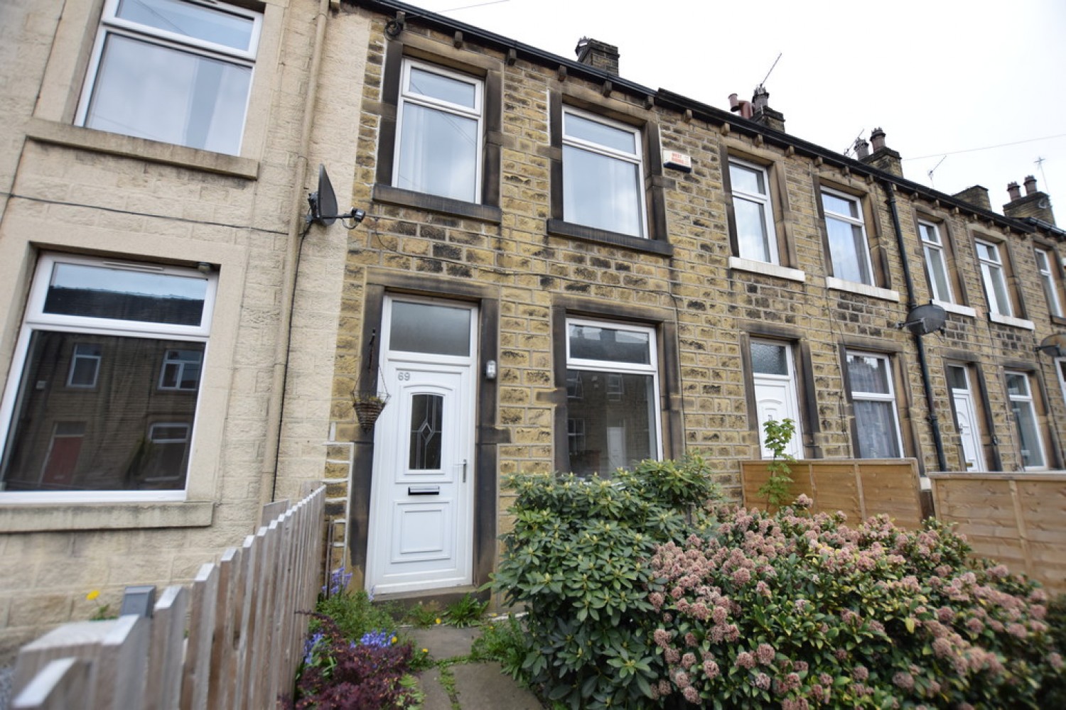 Senior Street, Moldgreen