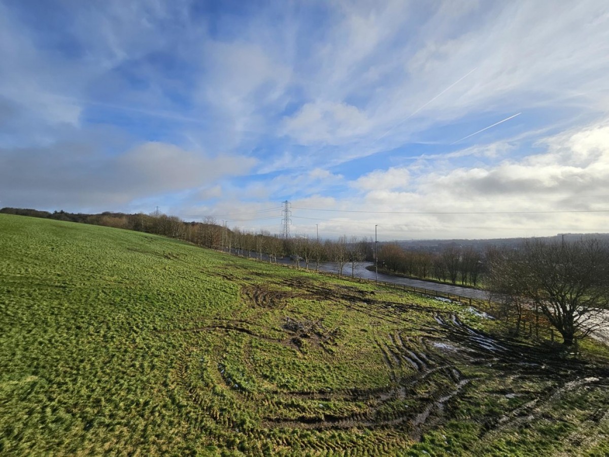 Lime Tree Court, Birchencliffe