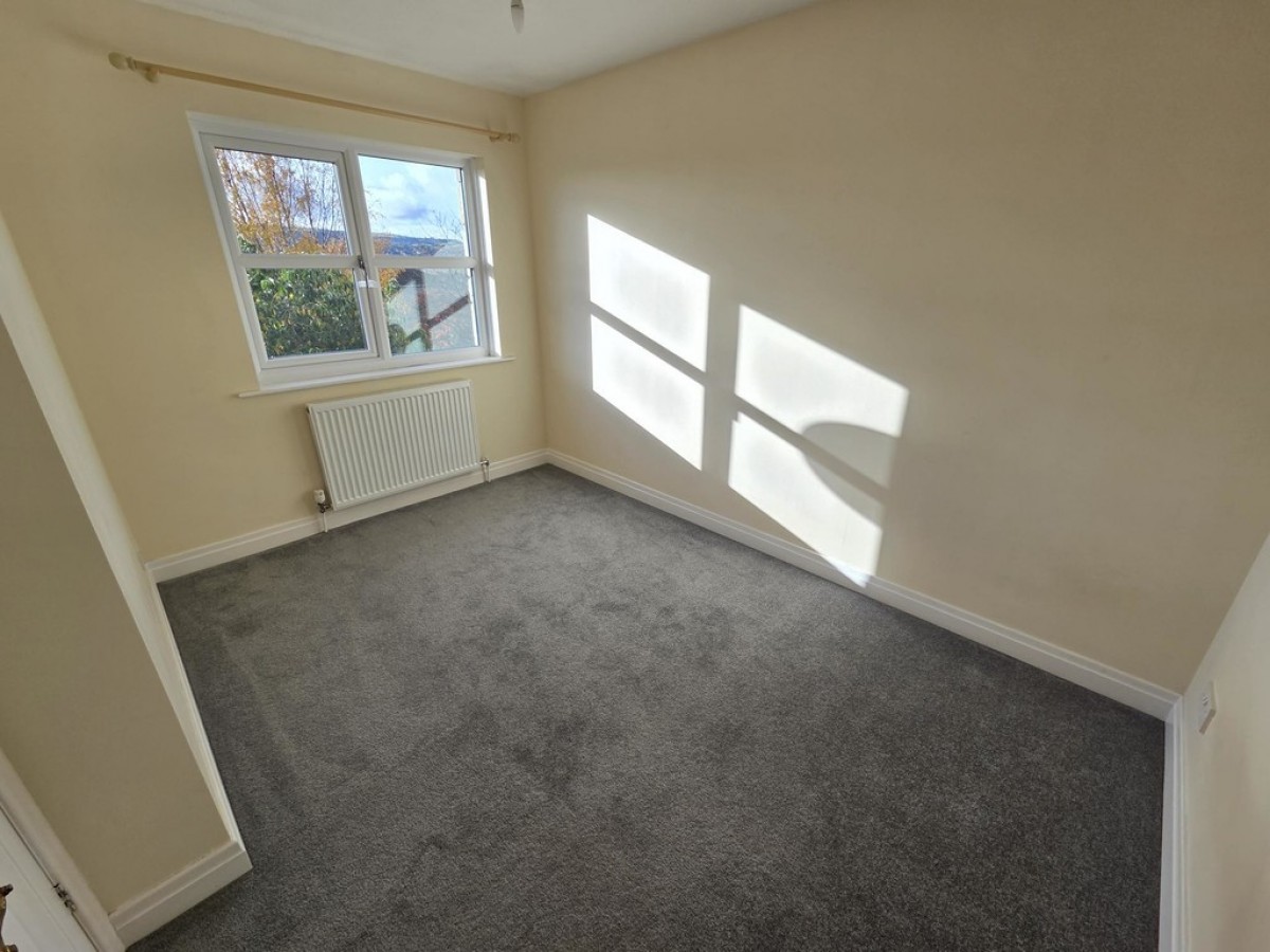 Park Avenue, Shelley