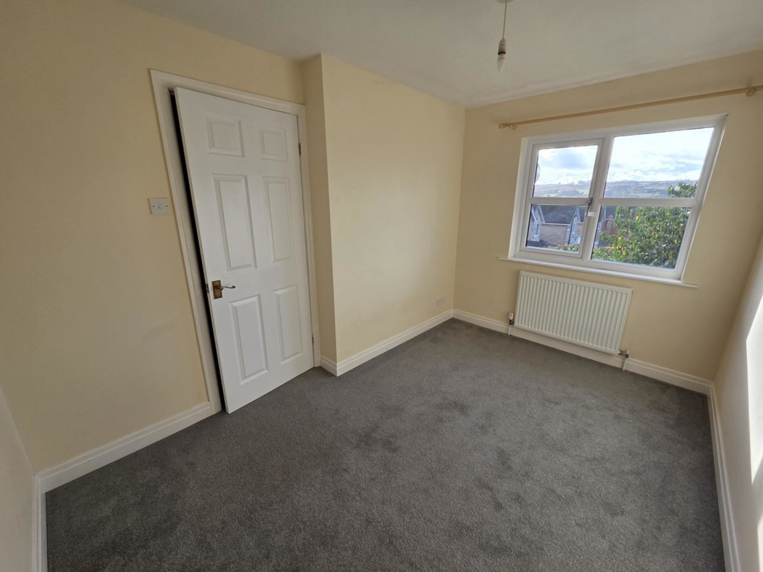 Park Avenue, Shelley