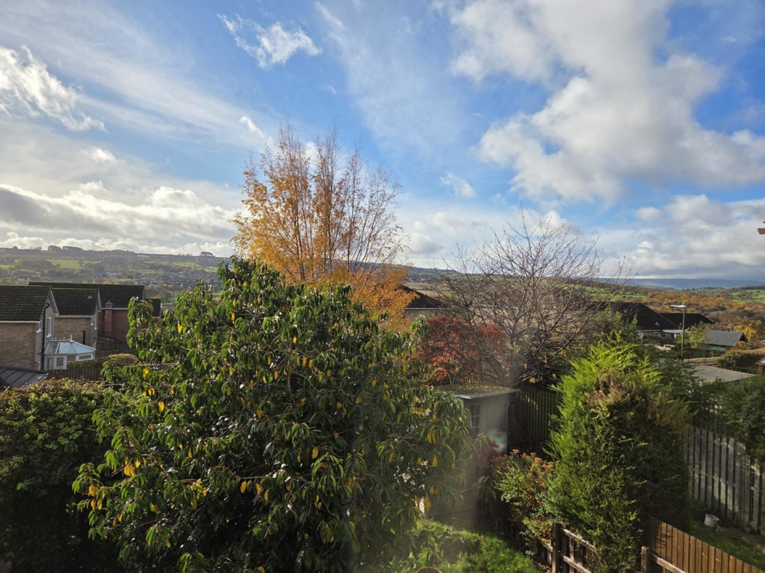 Park Avenue, Shelley