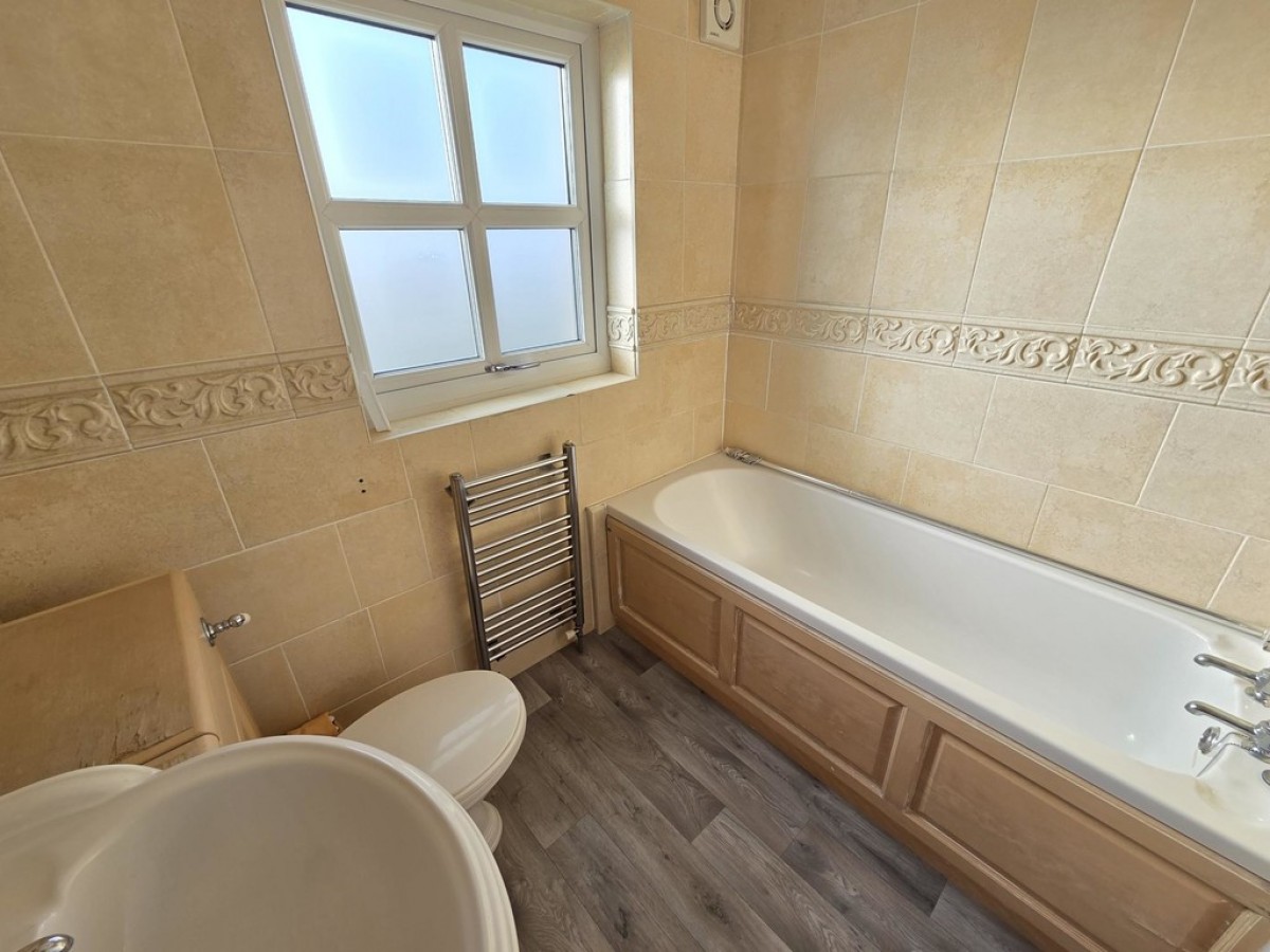 Park Avenue, Shelley