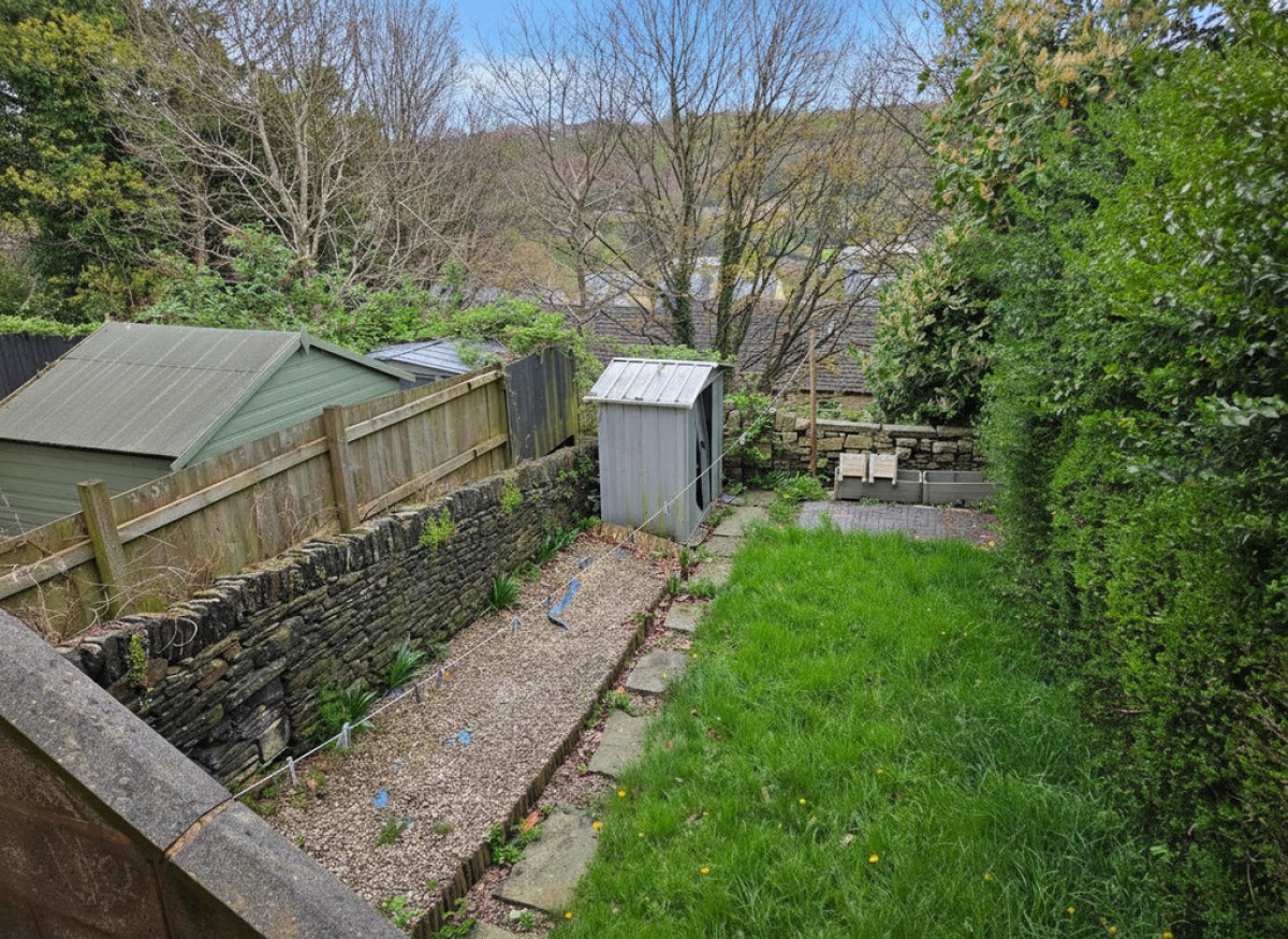 Longwood Road, Paddock