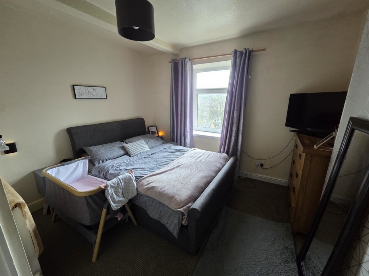 Longwood Road, Paddock