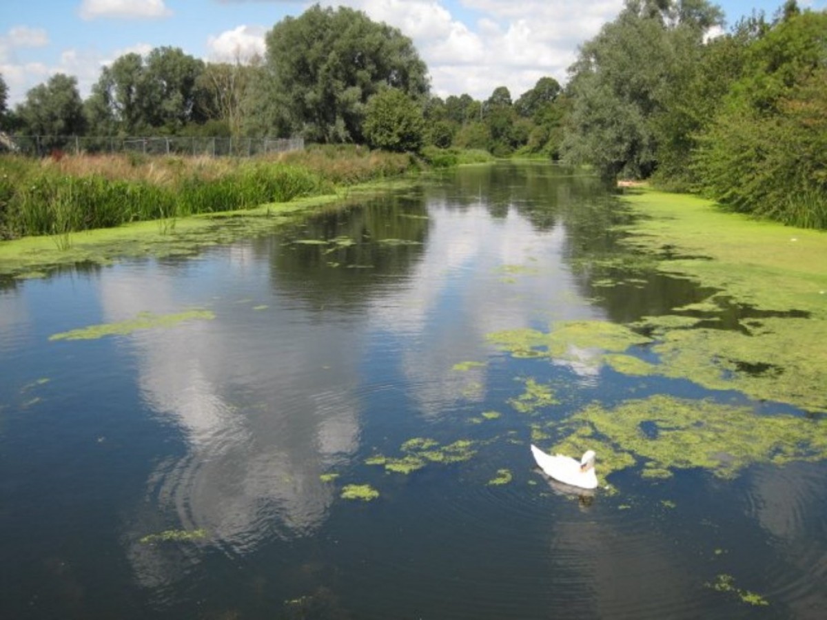 Grosvenor Place, East Street, CO1 2ZD