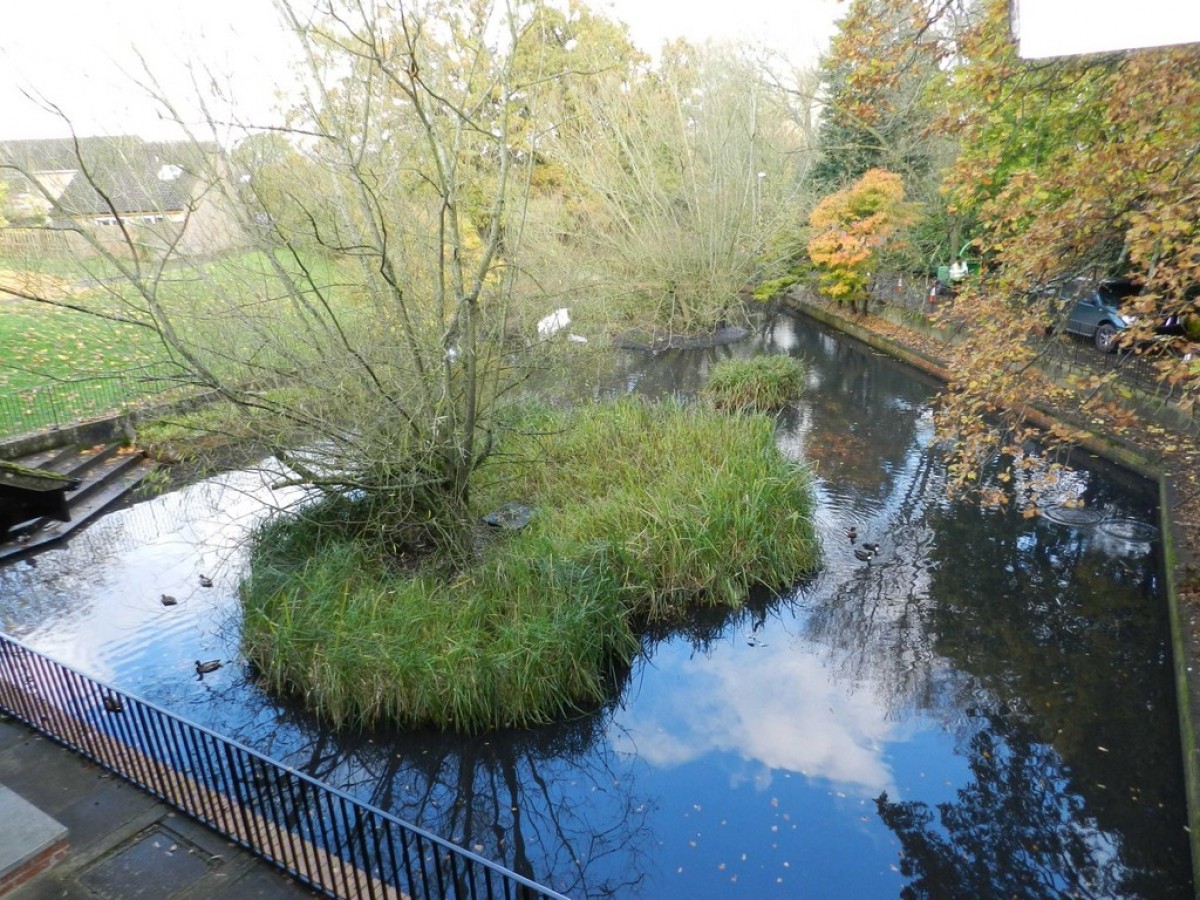 Balmoral Court, King George Close