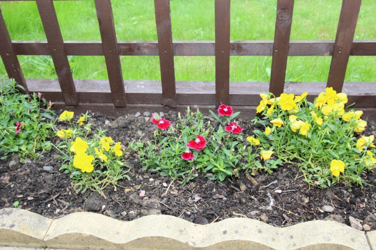 Swindale, Wilnecote