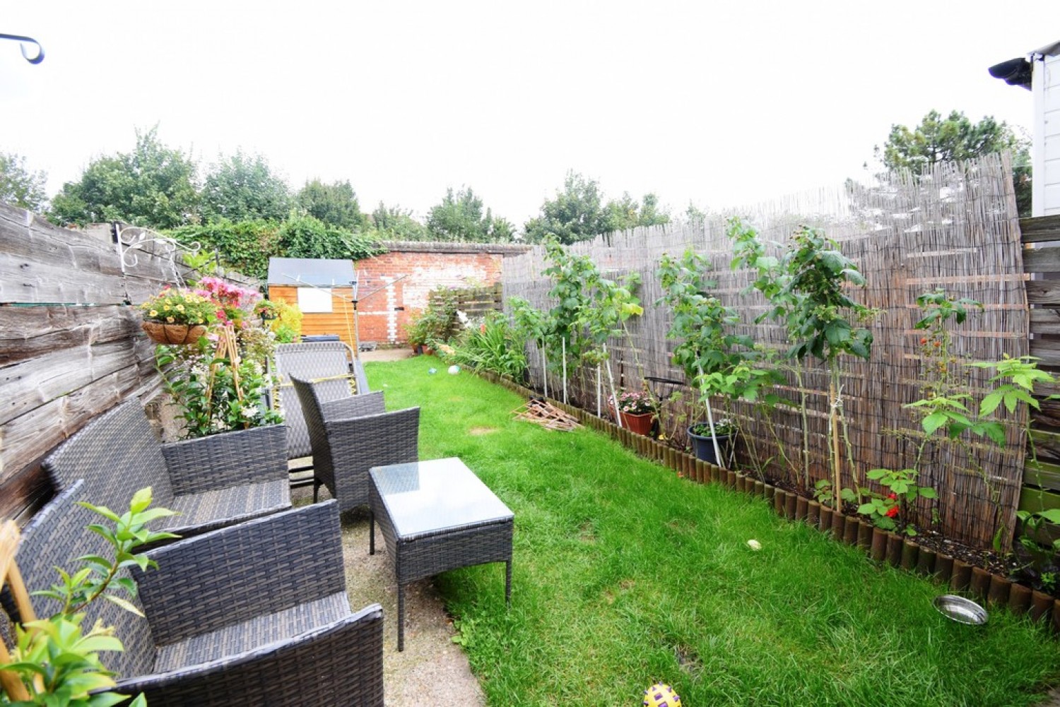 Mabel Road, Bedford