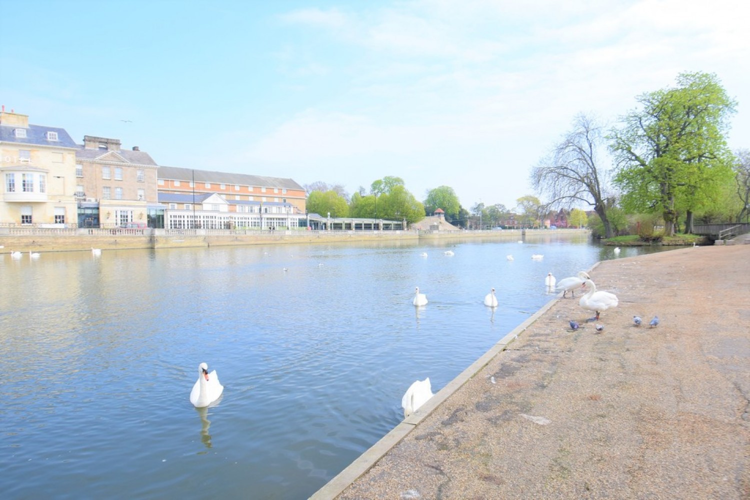 3 bedroom Flat for Letting Riverside Towers, St Marys Street