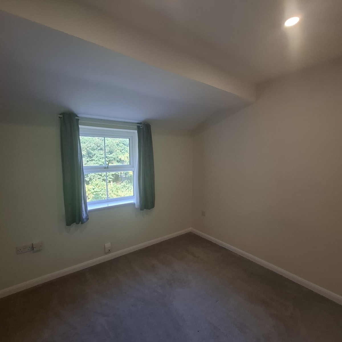 The Pines, Worksop
