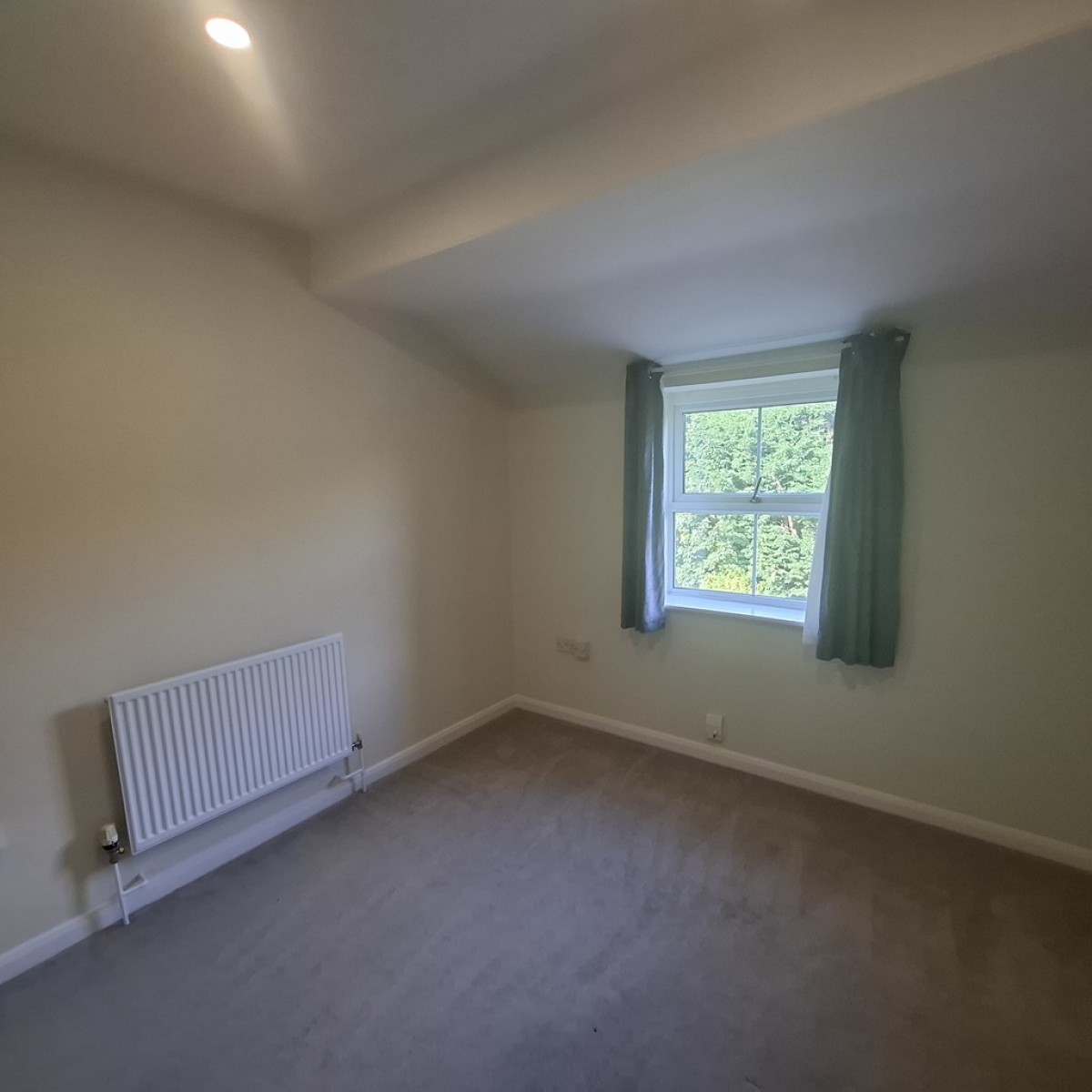 The Pines, Worksop