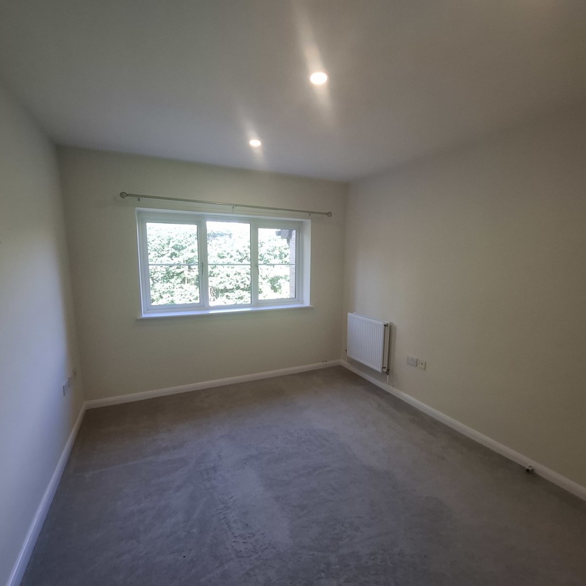 The Pines, Worksop