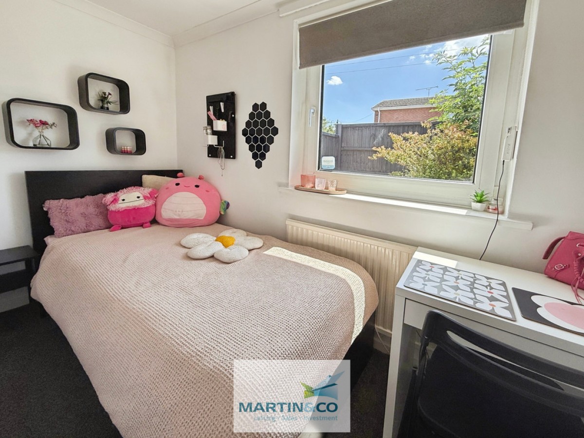 Cumberland Avenue , Warsop