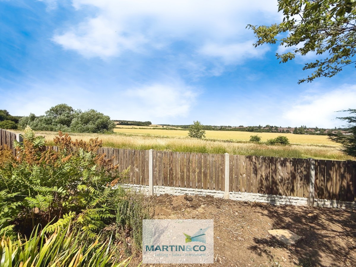 Cumberland Avenue , Warsop