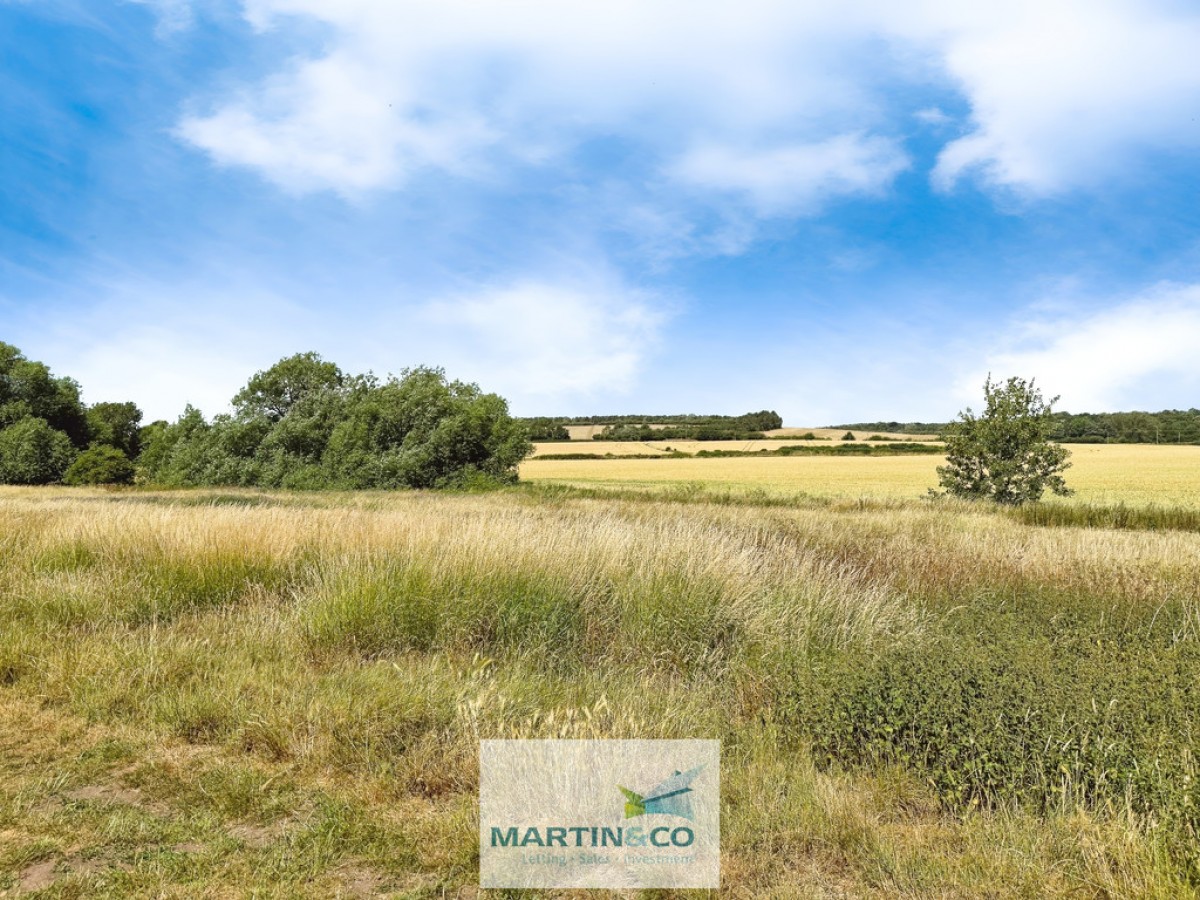 Cumberland Avenue , Warsop