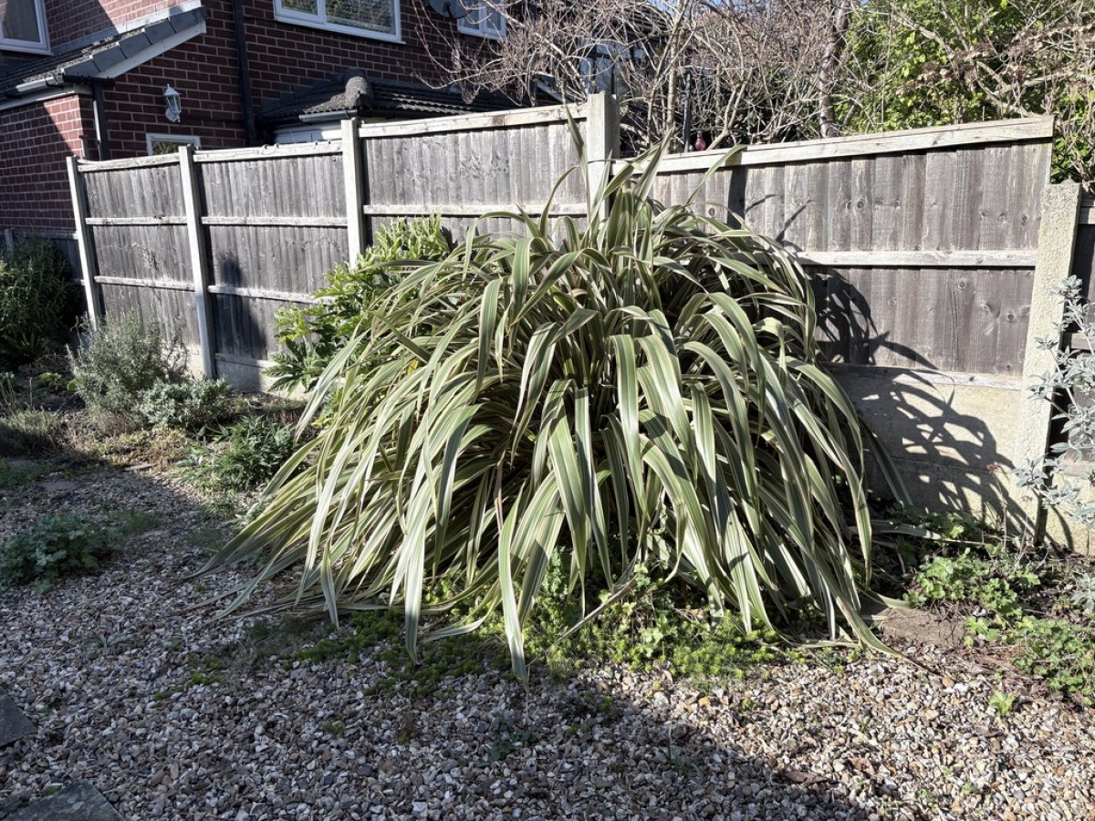Victoria Road, Whalley Range, Manchester