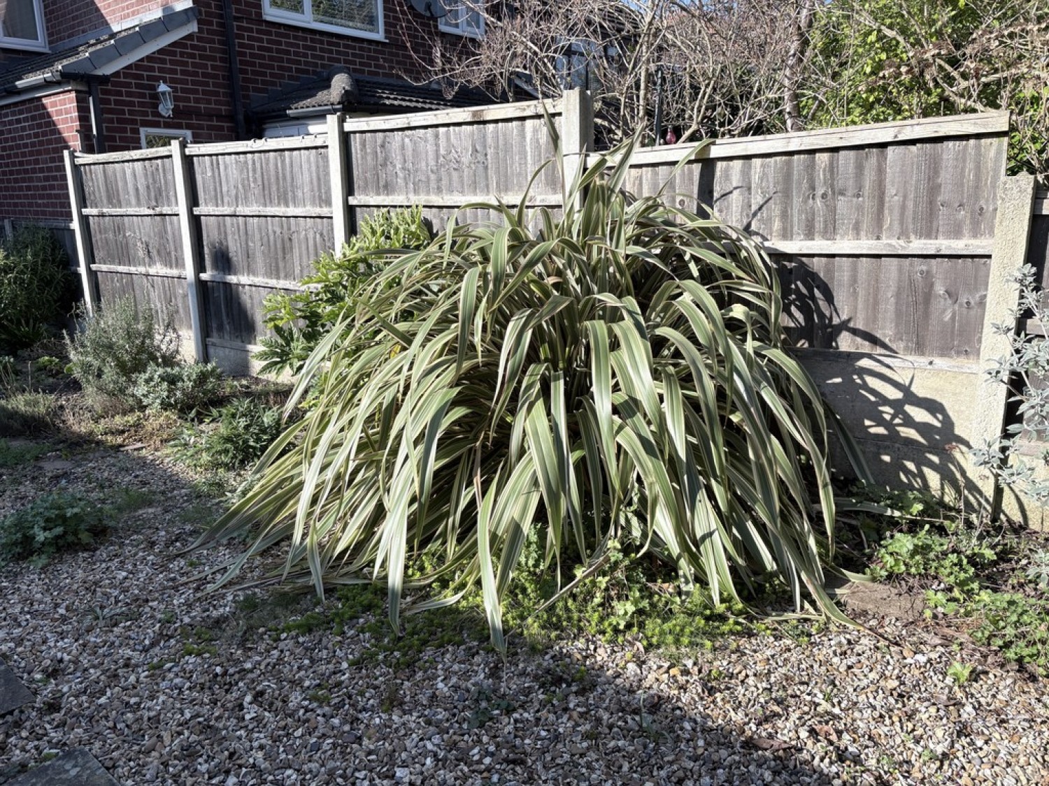 3 bedroom House for Letting Victoria Road, Whalley Range, Manchester