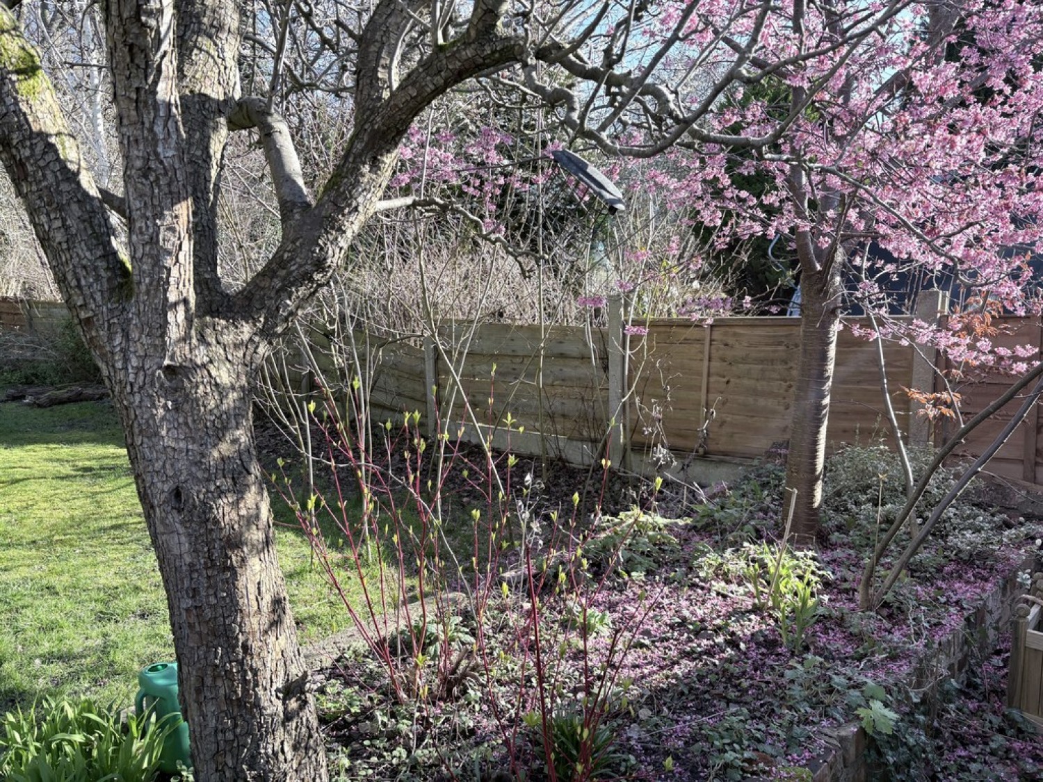 3 bedroom House for Letting Victoria Road, Whalley Range, Manchester