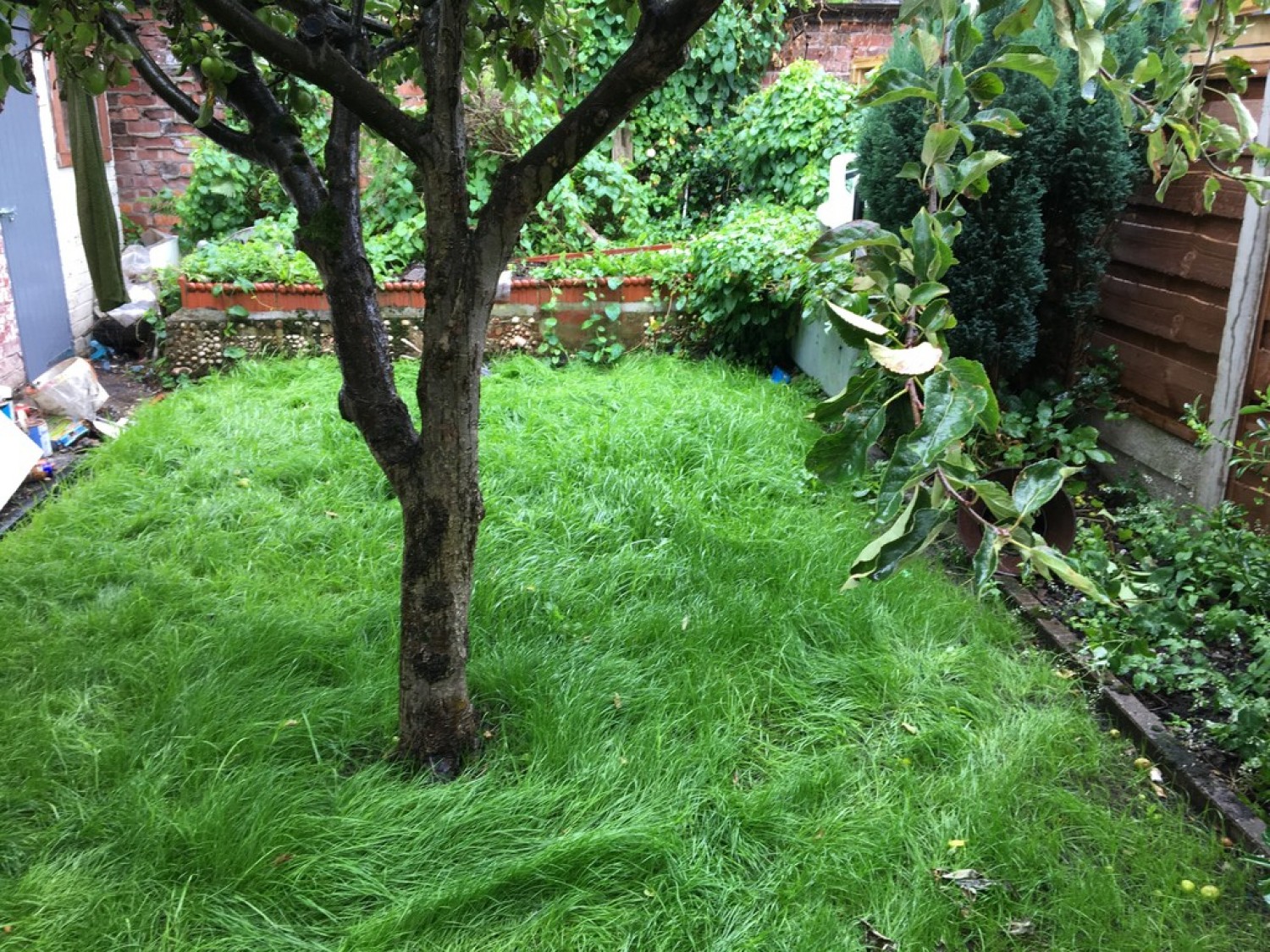 College Drive, Whalley Range