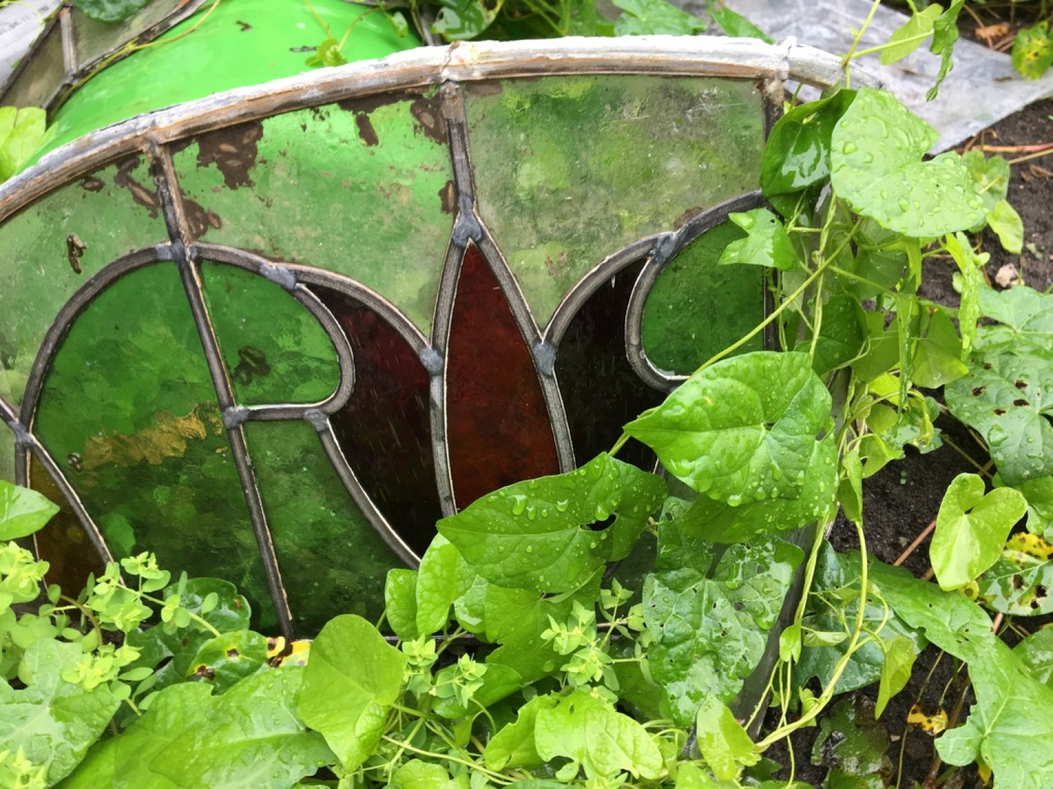 College Drive, Whalley Range