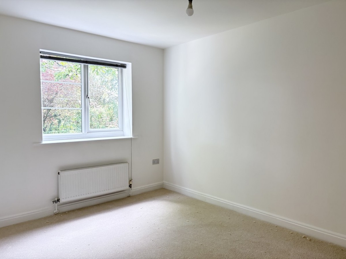 Hollyhedge Heights, Hollyhedge Road