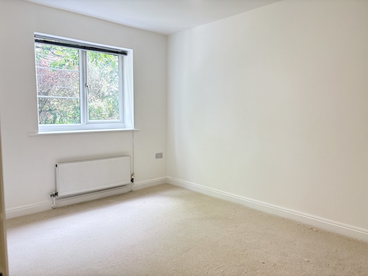 Hollyhedge Heights, Hollyhedge Road