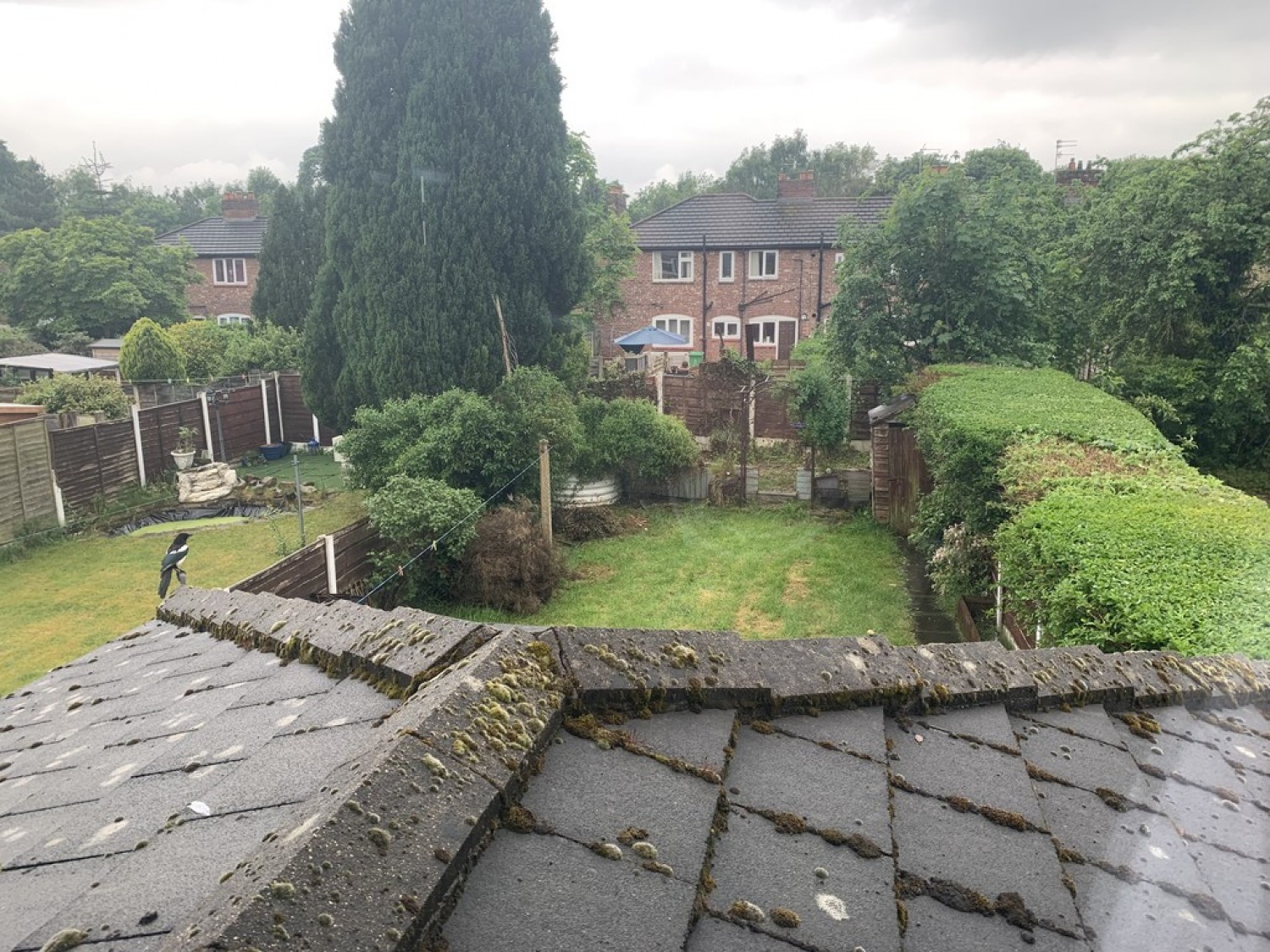 3 bedroom House for Letting Darley Avenue, Chorlton, Manchester
