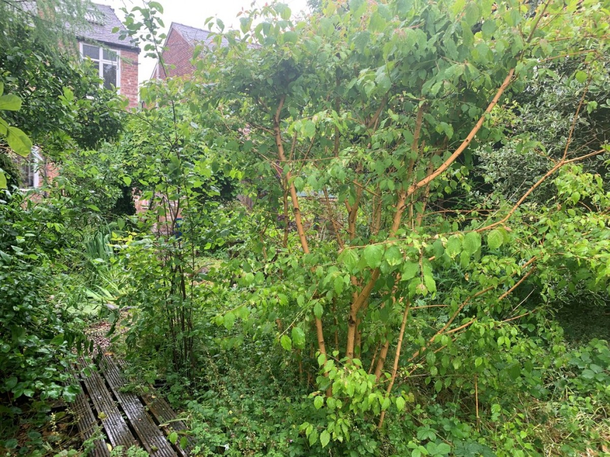 Park Drive, Whalley Range, Manchester