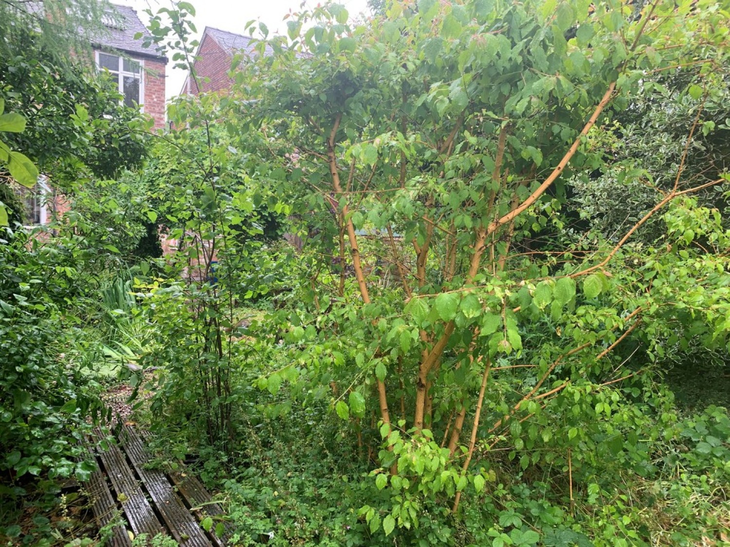 Park Drive, Whalley Range, Manchester